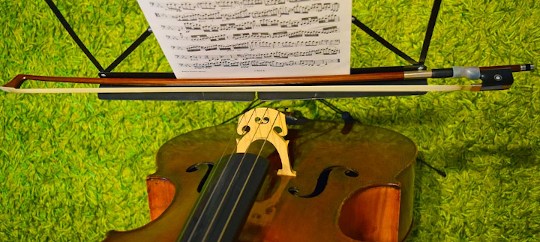 Kopfbild Cellounterricht